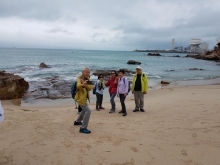 Thumbnail of P3010019.jpg