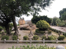 20260304_076.JPG (713816 bytes)