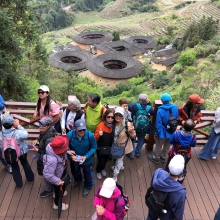 20260305_032.JPG (811419 bytes)