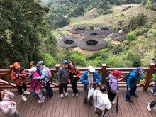 20260305_055.JPG (694800 bytes)