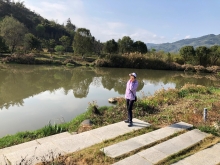 20260306_003.JPG (597349 bytes)