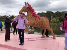 20260306_039.JPG (379090 bytes)