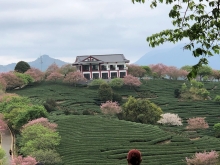 20260306_046.JPG (439260 bytes)