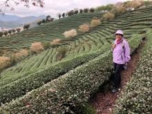 20260306_050.JPG (917366 bytes)