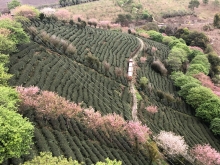 20260306_060.JPG (804297 bytes)