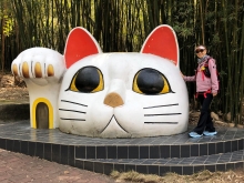 20260307_049.JPG (479282 bytes)