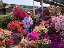 20260308_006.JPG (740322 bytes)