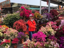 20260308_008.JPG (725391 bytes)