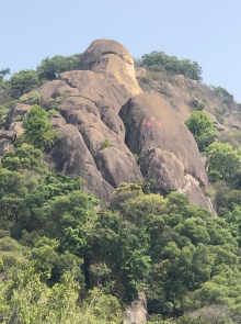 20260308_045.JPG (437463 bytes)