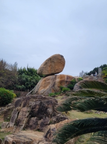 Thumbnail of pic_Teresa_Tse_003.jpg