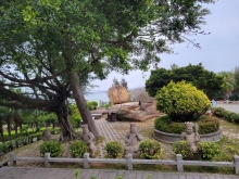 Thumbnail of pic_Teresa_Tse_008.jpg