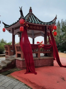 Thumbnail of pic_Teresa_Tse_011.jpg