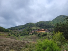 Thumbnail of pic_Teresa_Tse_031.jpg