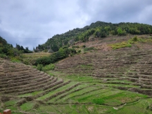 Thumbnail of pic_Teresa_Tse_033.jpg