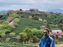 Thumbnail of pic_Teresa_Tse_107.jpg