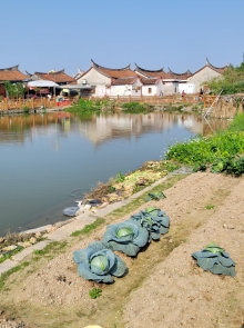 Thumbnail of pic_Teresa_Tse_160.jpg