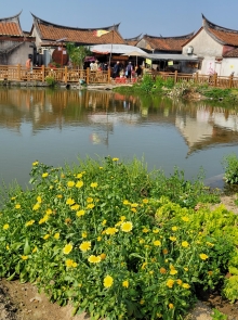 Thumbnail of pic_Teresa_Tse_162.jpg