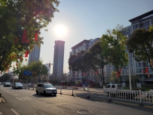 Thumbnail of pic_Teresa_Tse_176.jpg