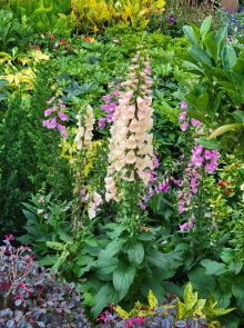 Thumbnail of pic_Teresa_Tse_189.jpg