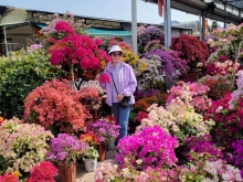 Thumbnail of pic_Teresa_Tse_192.jpg