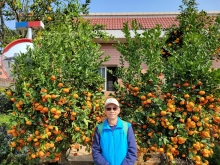 Thumbnail of pic_Teresa_Tse_193.jpg