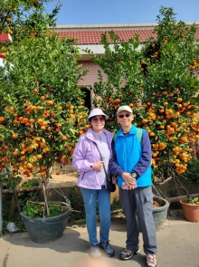 Thumbnail of pic_Teresa_Tse_194.jpg