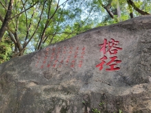 Thumbnail of pic_Teresa_Tse_199.jpg