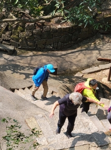 Thumbnail of pic_Teresa_Tse_213.jpg