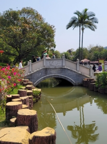 Thumbnail of pic_Teresa_Tse_217.jpg