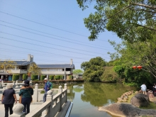 Thumbnail of pic_Teresa_Tse_218.jpg