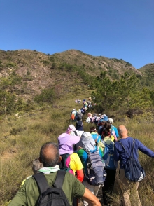 P3150011.JPG (458280 bytes)