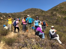 P3150017.JPG (635013 bytes)