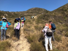 P3150018.JPG (607327 bytes)