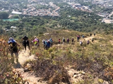 P3150020.JPG (684689 bytes)