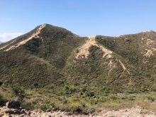 P3150022.JPG (527864 bytes)