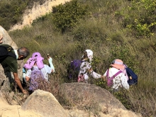 P3150043.JPG (642027 bytes)