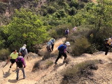 P3150051.JPG (714264 bytes)