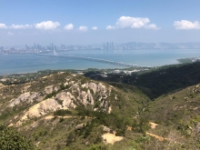 P3150052.JPG (374009 bytes)