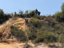 P3150054.JPG (551249 bytes)