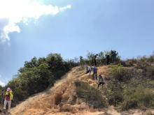 P3150057.JPG (342049 bytes)