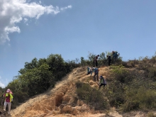 P3150058.JPG (328757 bytes)