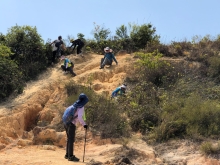 P3150060.JPG (567262 bytes)