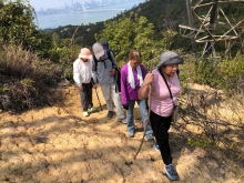 P3150070.JPG (644776 bytes)