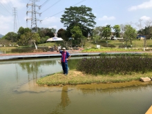 P3220042.JPG (392743 bytes)