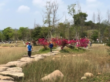 P3220071.JPG (568799 bytes)