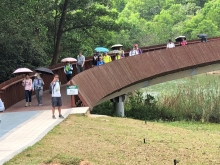 P3220080.JPG (458498 bytes)