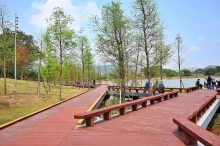 Thumbnail of pic_Lee_Shing_021.JPG