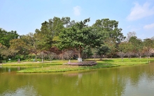 Thumbnail of pic_Lee_Shing_034.JPG