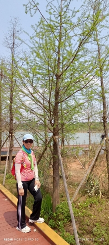 Thumbnail of pic_Mingle_Tam_022.jpg