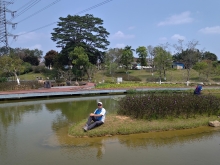 Thumbnail of pic_WaiG_025.jpg